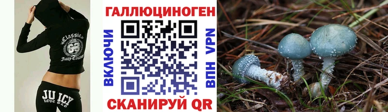 Псилоцибиновые грибы ЛСД Беломорск
